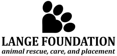 Pet Care Foundation – Adopt A Shelter Pet Today